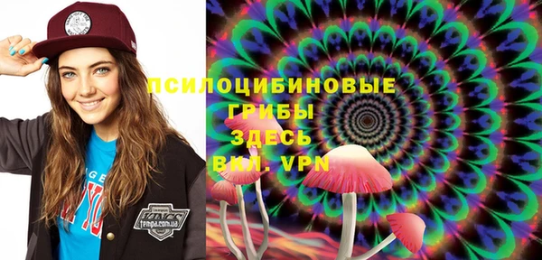 соль ск Абаза