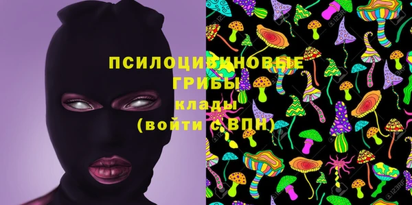 соль ск Абаза