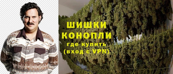 соль ск Абаза