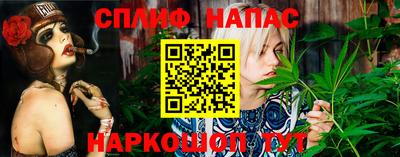 мдпв Гагарин