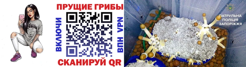 ОМГ ОМГ как войти  Нефтеюганск  Галлюциногенные грибы GOLDEN TEACHER 